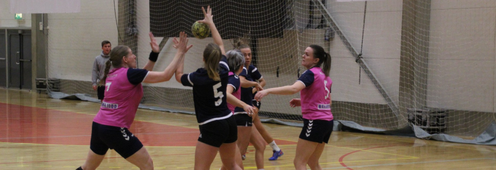 Bedriftsserie - Håndball Damer